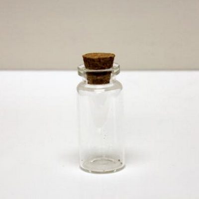 Korgiga klaaspudel/55x22 mm